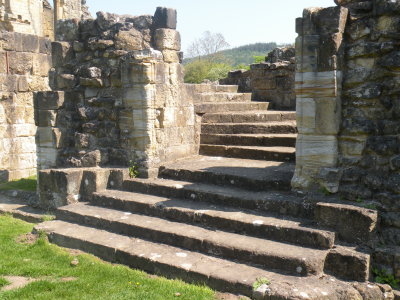 Byland Abbey stairs