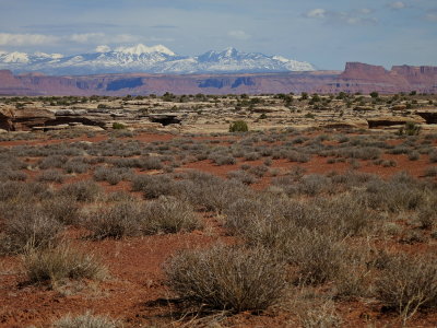 White Rim Biking / Camping