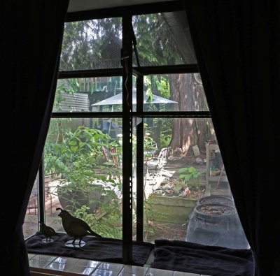 19 - Window 5, Inside, Before