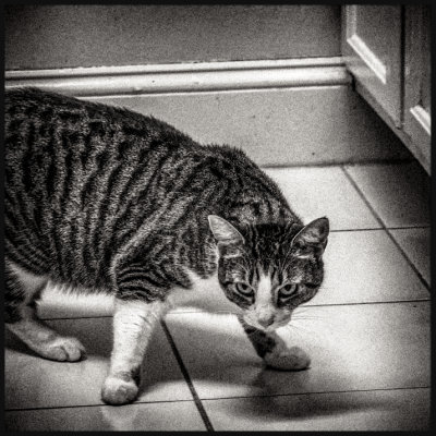 DSC01517sq2.jpg