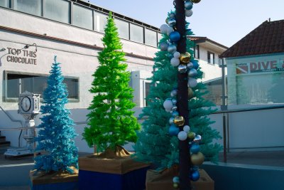 Holiday Decorations