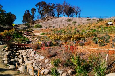 Ventura botanical garden