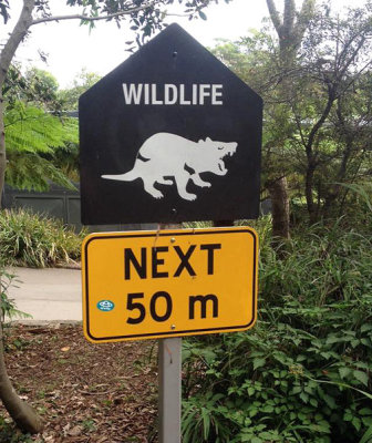 Australia.