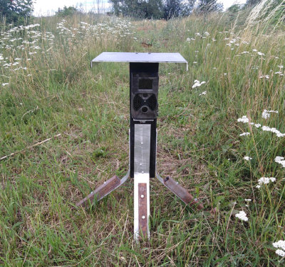 Wildlife camera