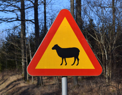 Sweden.