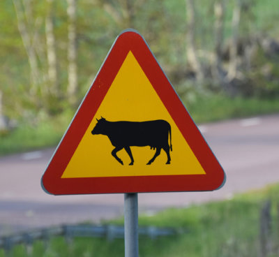 Sweden.