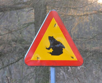 Sweden.