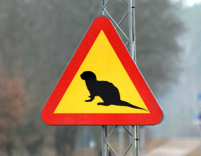 Sweden.