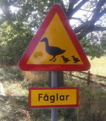 Sweden.