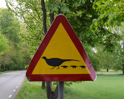 Sweden. 