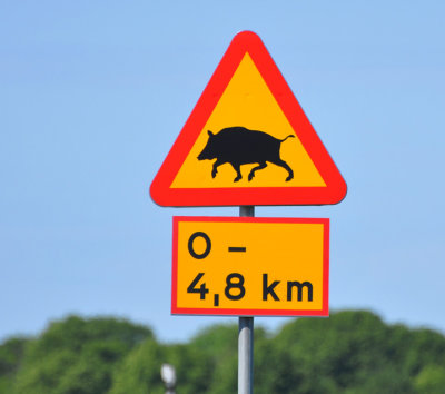 Sweden. 
