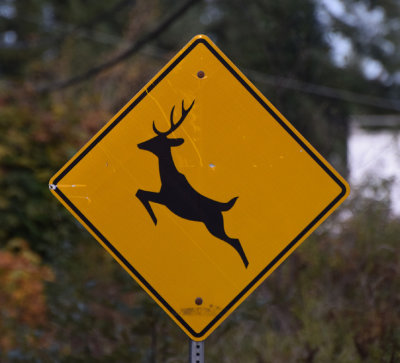 Canada.