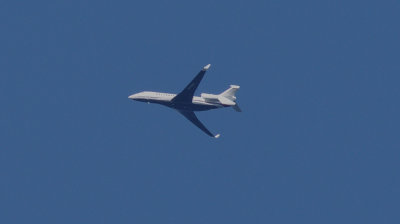 Dassault Falcon 8X
