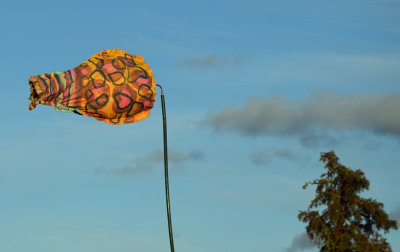 Art in Sweden.   ( land )
