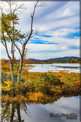 Along The Raquette River