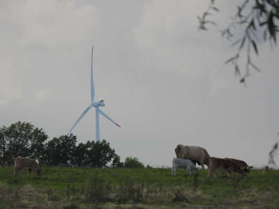 CZ - Countryside in the Frdlant region 10/2020