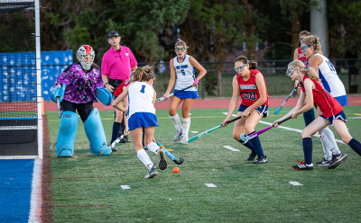 Field_Hockey3.jpg