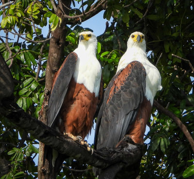 Southern Africa