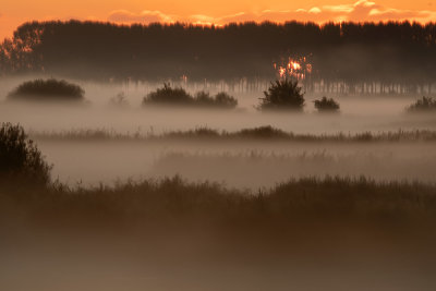 Hulst (Groot Eiland)