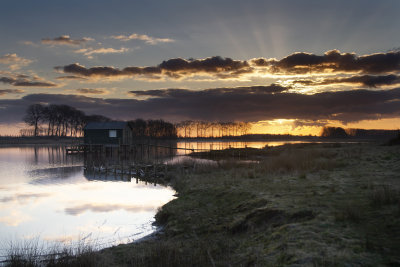 Hengstdijk (de Vogel)