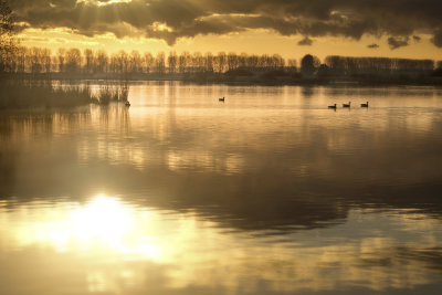 Groot Eiland (Hulst)