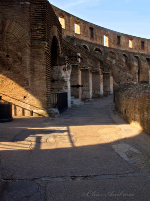 Morning at the Colosseum