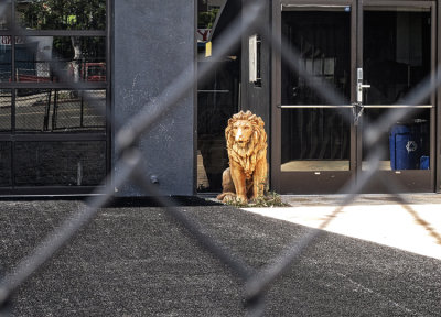 Standing Guard