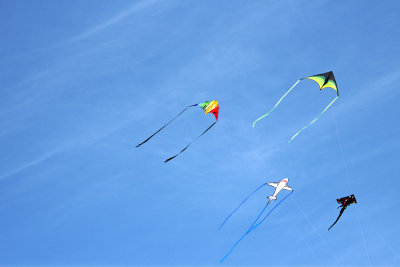 Kite Festival 2022