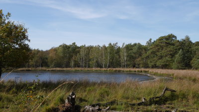 g12/14/1172414/3/169916100.ICOzqMLq.jpg