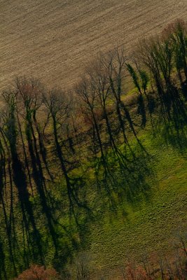 Cordes sur Ciel (Tarn)