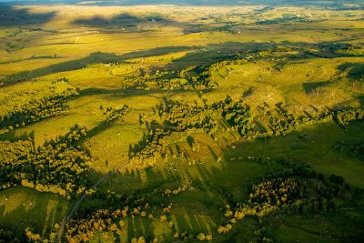 L'Aubrac