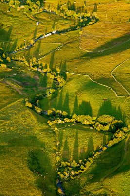 L'Aubrac