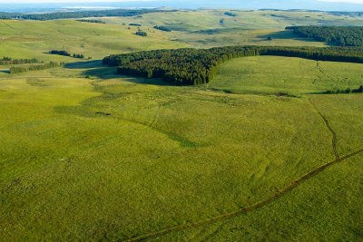 L'Aubrac