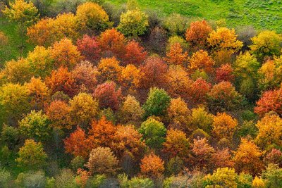 Couleurs dautomne en Gaillacois