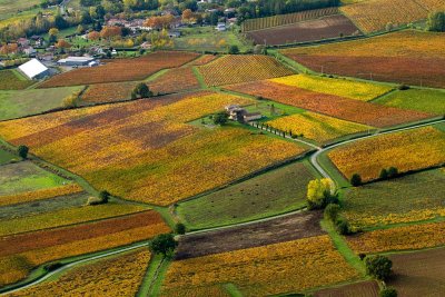 Couleurs d'automne en Gaillacois