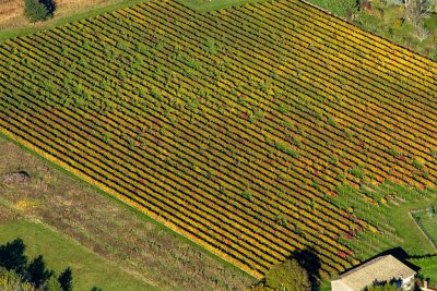 Automne en Lauragais