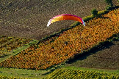 Automne en Lauragais