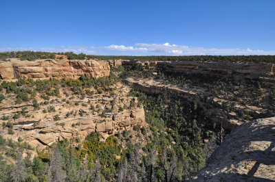 DSC_1972-Edit.jpg