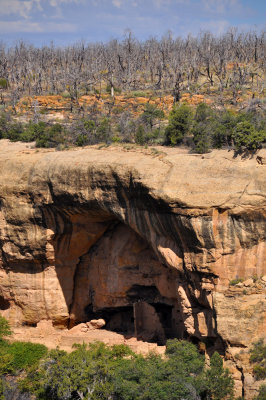 DSC_1981-Edit.jpg