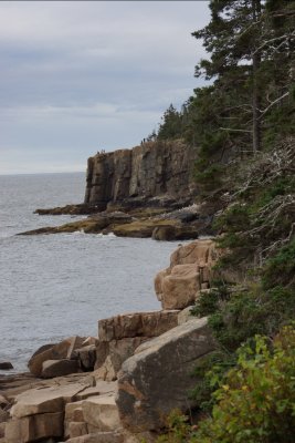 acadia