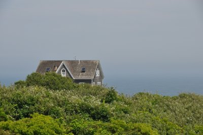 DSC_6889.JPG