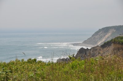 DSC_6890.JPG