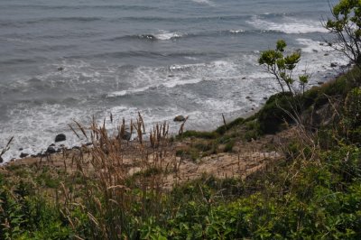 DSC_6901.JPG