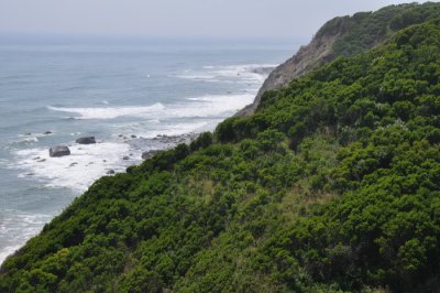 DSC_6906.JPG