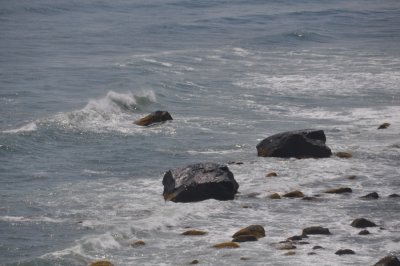 DSC_6914.JPG