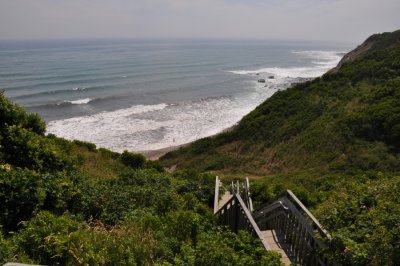 DSC_6917.JPG