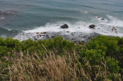 DSC_6931.JPG