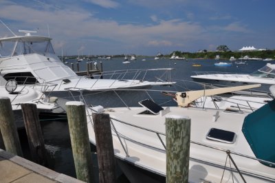 DSC_6933.JPG