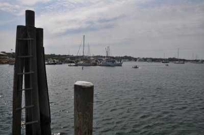 DSC_6938.JPG