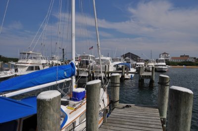 DSC_6939.JPG